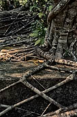 Angkor - ruins of Beng Mealea